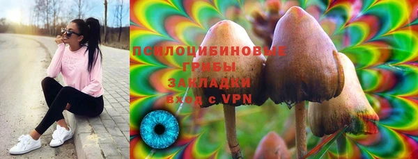гидра Алексин