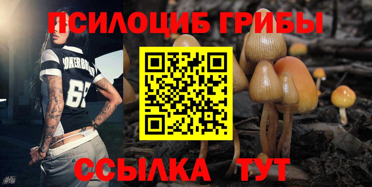 Галлюциногенные грибы Cubensis Белгород