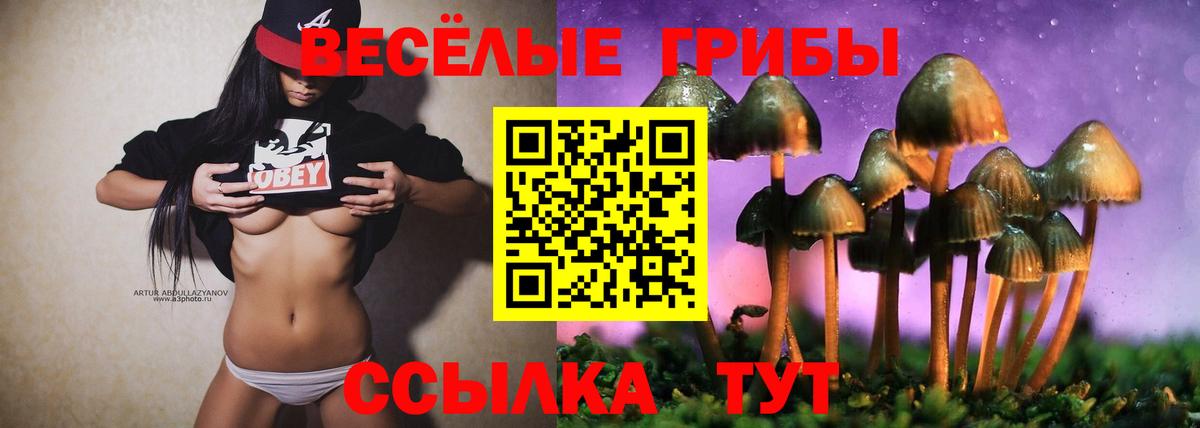Галлюциногенные грибы мухоморы  Вход с VPN  Белгород 
