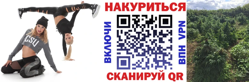 Каннабис Bruce Banner  как найти наркотики  Белгород 